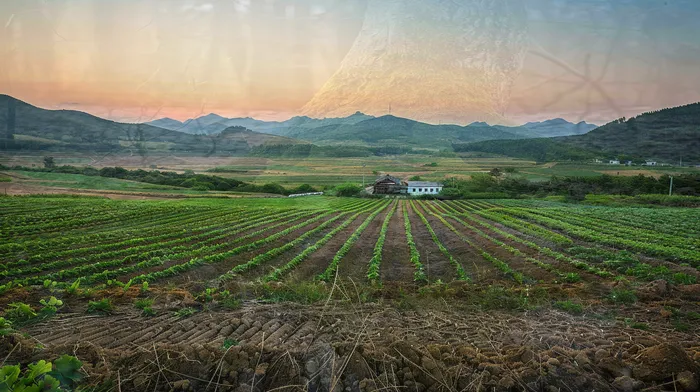 개인회생잘하는곳