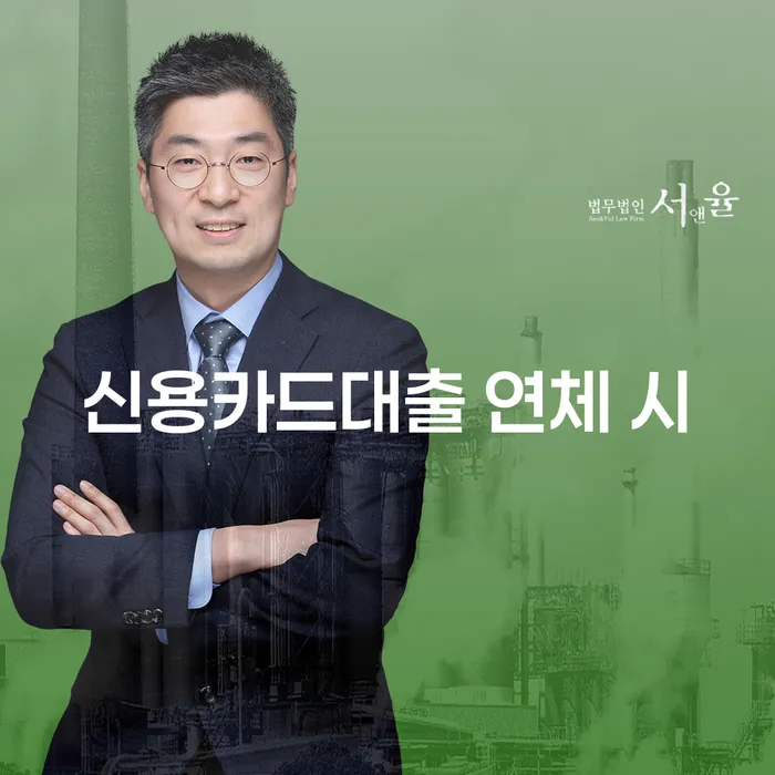 신용카드 연체 대출 개인회생 제도 판단을위해