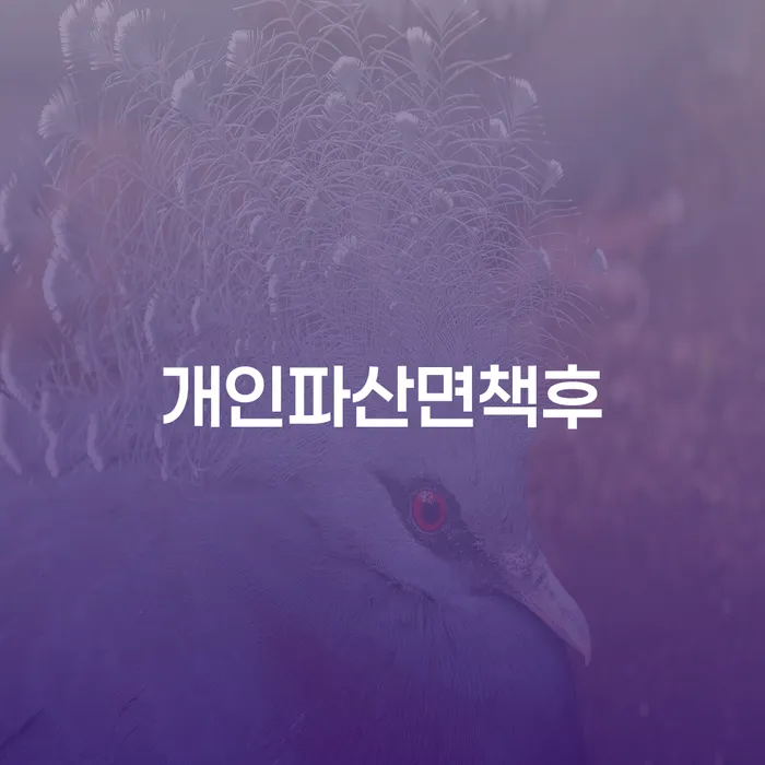개인신용회복제도 개인회생 제도 알아야 하는 꿀팁