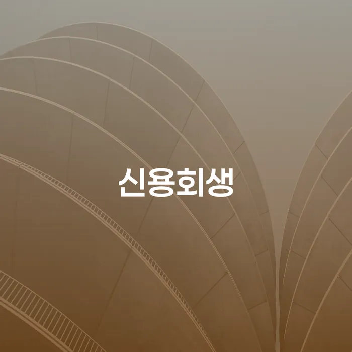 구미시 파산관재인 채무조정제도을 이용하여 노하우