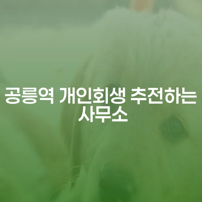 공릉역 개인회생 추전하는 사무소