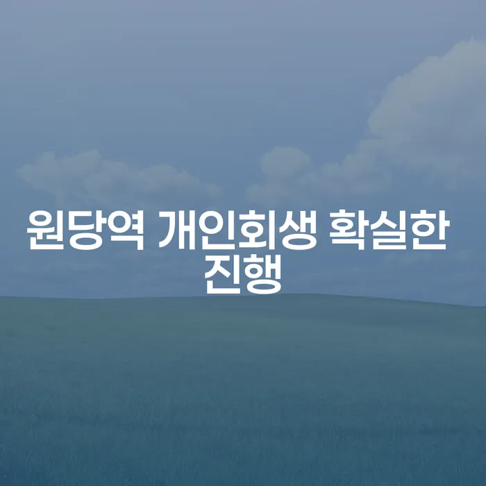 원당역 개인회생 확실한 진행