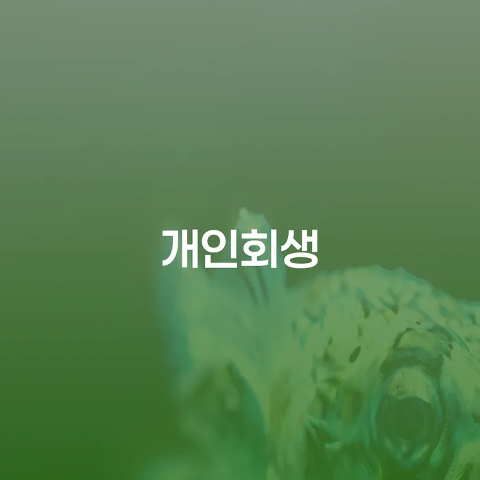 홍성군 개인회생 절차와 사례