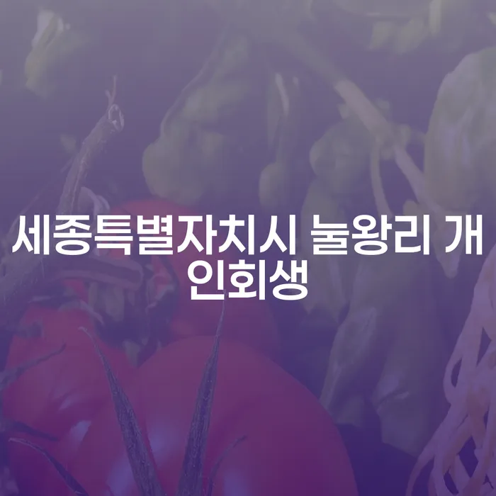 세종특별자치시 눌왕리 개인회생, 어떻게 시작할까요?